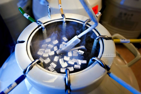 死精症患者能否选择试管婴儿技术实现生育？