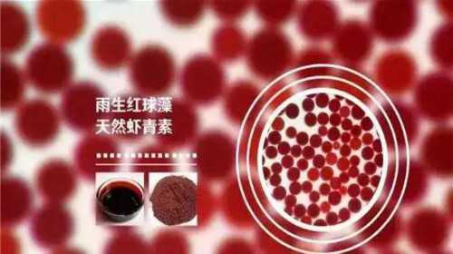 专业试管医院解析：地下机构供卵包生男孩骗局揭秘